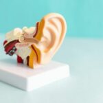 Audiologia-scaled-qsnv1iku4mv4qoee3heqnp35qgrvznma8v01j4yufg